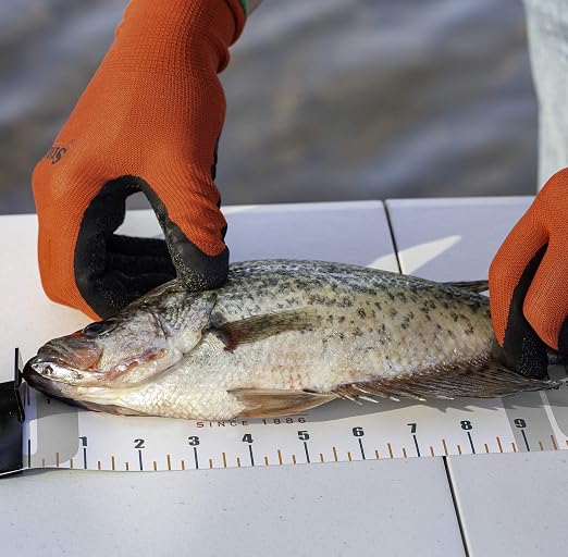 Smith's Regal River 48" Retractable Ruler - Durable - UV Resistant, Large Numbers - Waterproof Measuring Tape- Fresh - Saltwater Fishing, Boating - Kayaking - Tackle - Accessory - 3” Wide