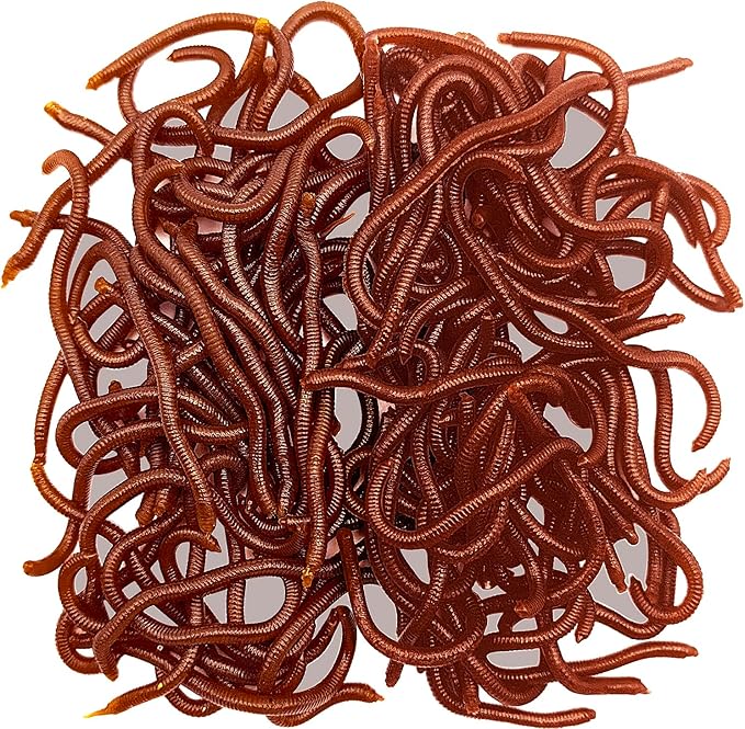 100 Pcs 3.3inch Soft Worms Fishing Lure Baits, Earthworm Baits Lifelike Fake Bloodworm,Fresh Water Fishing Bait