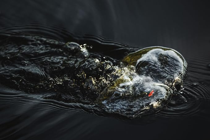 Berkley Swamp Lord Hollow Body Frog Fishing Bait