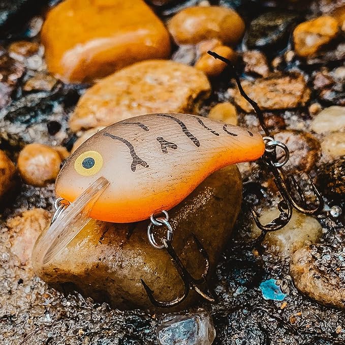 Rebel Lures Pop-R Topwater Popper Fishing Lure