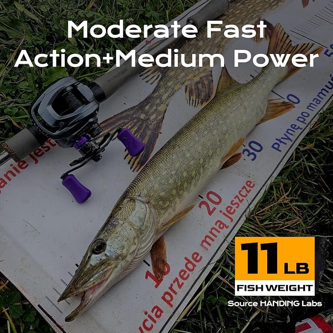 HANDING Pioneer Fishing Rod 2-Piece Baitcaster Rod & Spinning Rod with Medium Power and Moderate Fast Action 24T Carbon Fiber Ti-Oxide Ring EVA Handle for Largemouth Smallmouth Walleye