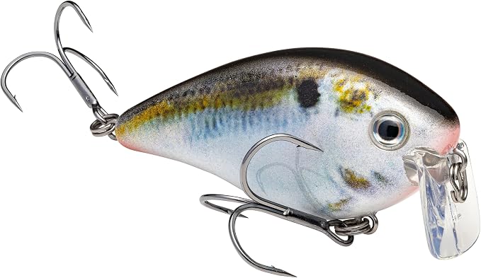 Strike King KVD 2 5 Wake Bait 1