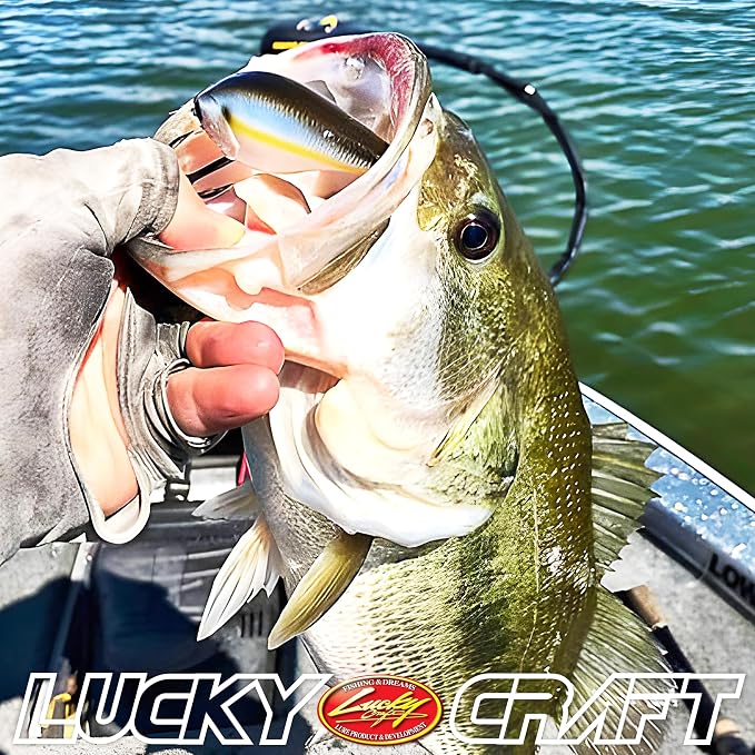 LUCKY CRAFT LC 2.5 Silent Crankbait Fishing Lures, 2-3/8” Squarebill Crankbait, Bass Lures, Floating 4ft Depth Hard Bait, Champion Freshwater Fishing Gear and Tackle Box Accessories