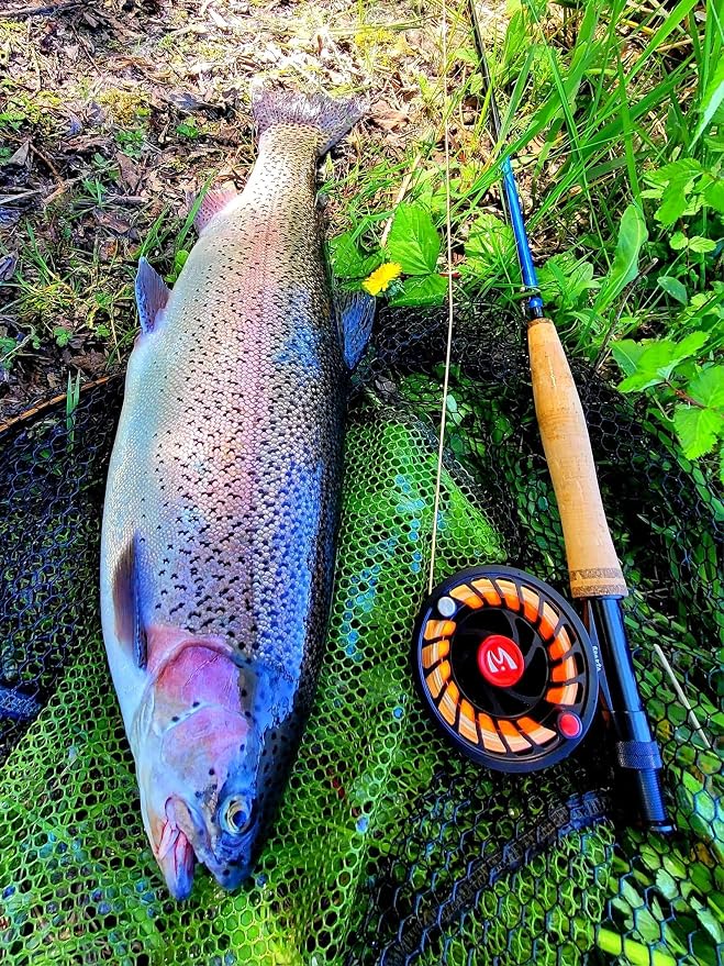 Maxcatch Extreme-X Fly Fishing Rod and Reel Combo, 3-8wt Complete Starter Fishing Outfit with Fly Box, Flies, Rod Clip Holder, Rod Case, Extra Tip Section