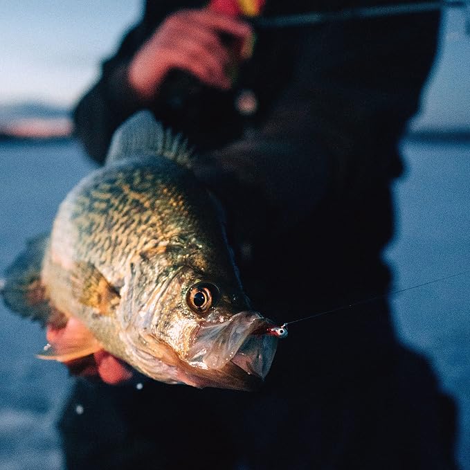 Northland Fishing Tackle Impulse Rigged Tungsten Bloodworm Jig for Ice Fishing Panfish, Assorted Sizes and Colors