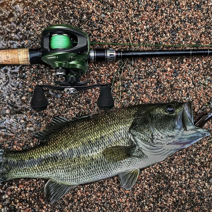 Piscifun Torrent II Baitcasting Fishing Reel, 20LB Carbon Fiber Drag Baitcasters, 6.6:1/8.1:1 Gear Ratio & Magnet Braking System Low Profile Casting Reel, Left/Right Handed