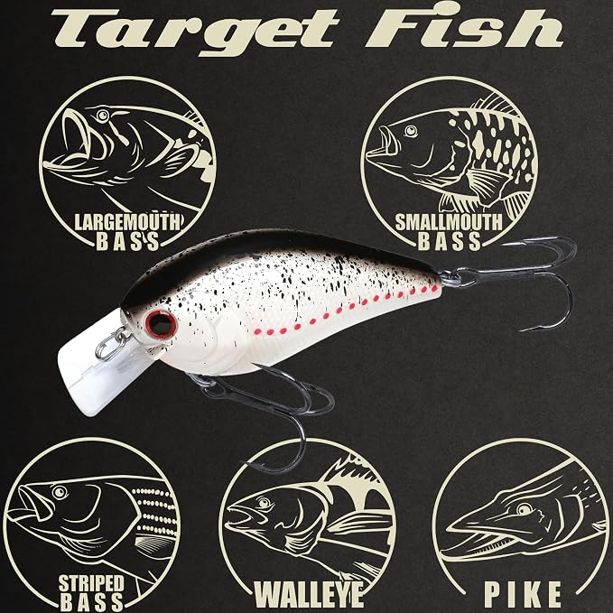 LUCKY CRAFT LC 2.5 Silent Crankbait Fishing Lures, 2-3/8” Squarebill Crankbait, Bass Lures, Floating 4ft Depth Hard Bait, Champion Freshwater Fishing Gear and Tackle Box Accessories