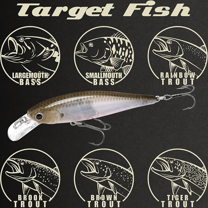 Lucky Craft Fishing Lure Pointer 65 Jerk Bait