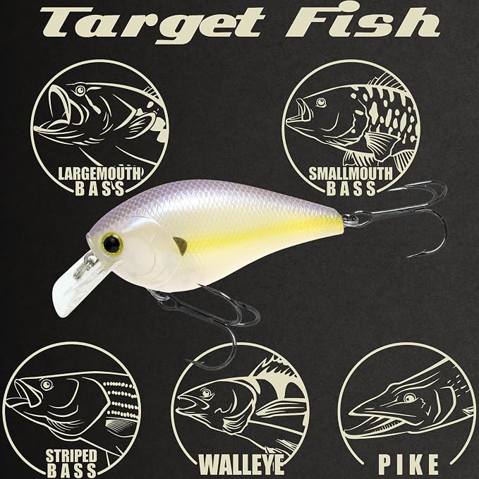 LUCKY CRAFT LC 2.5 Silent Crankbait Fishing Lures, 2-3/8” Squarebill Crankbait, Bass Lures, Floating 4ft Depth Hard Bait, Champion Freshwater Fishing Gear and Tackle Box Accessories