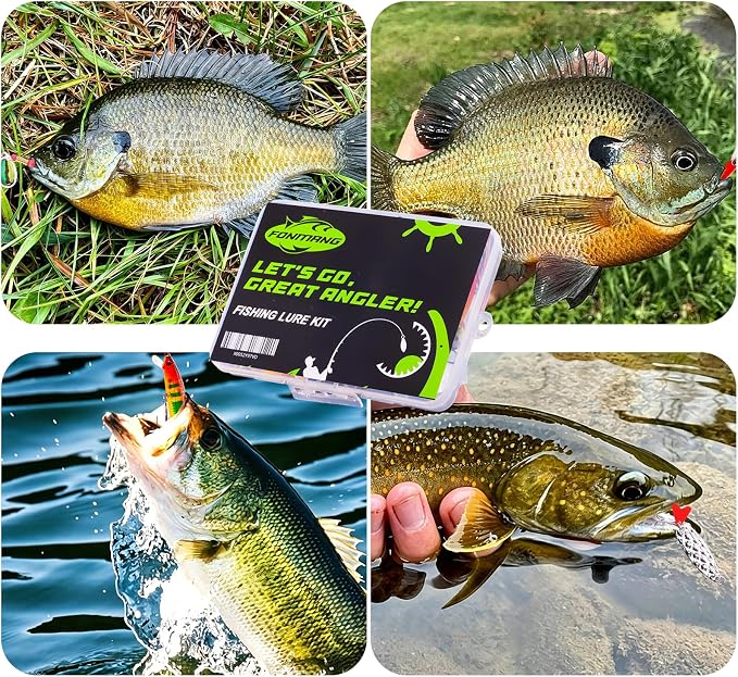 FONMANG Fishing Lures - Fishing Tackle kit with Spoons, Swim Bait, Jerk baits, Lure & Fishing Accessories, Bass Fishing Kit Also for Trout, Bluegill, Small Fishing Tackle Box for Freshwater