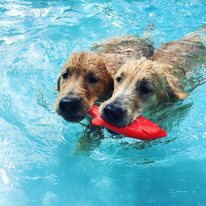 Ruff Dawg Flying Fish Floating Dog Toy – (1 pc) Assorted Colors – Durable Rubber Fetch & Water Toy with Rope Hole – Gentle on Teeth, BPA & Latex Free – Made in USA