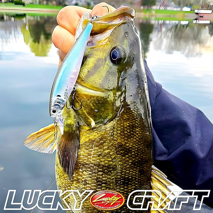 LUCKY CRAFT Pointer 100, Jerkbait Side by Side Action Tournament Winning Perfect Wobbling Freshwater Lake Bass Fishing Champion Bait