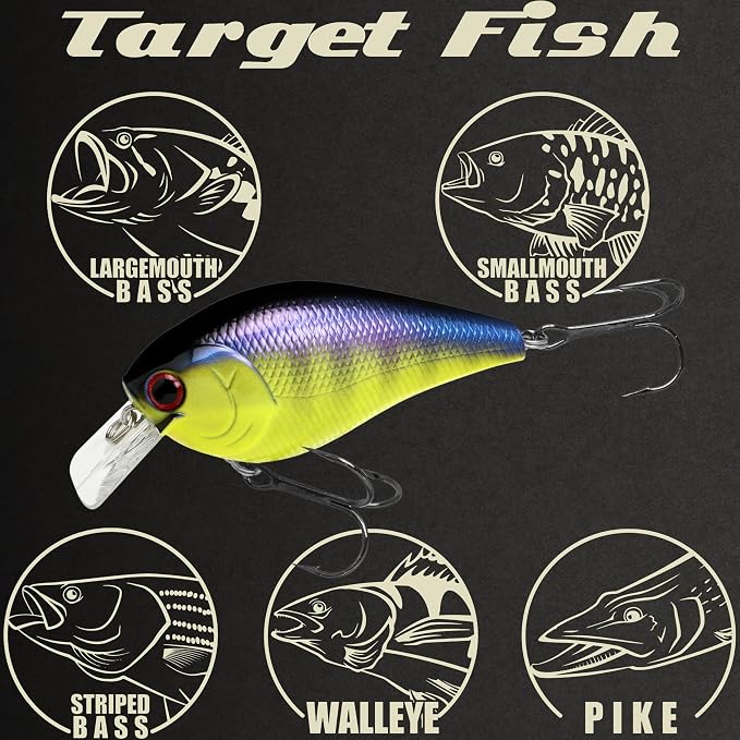 LUCKY CRAFT LC 2.5 Silent Crankbait Fishing Lures, 2-3/8” Squarebill Crankbait, Bass Lures, Floating 4ft Depth Hard Bait, Champion Freshwater Fishing Gear and Tackle Box Accessories