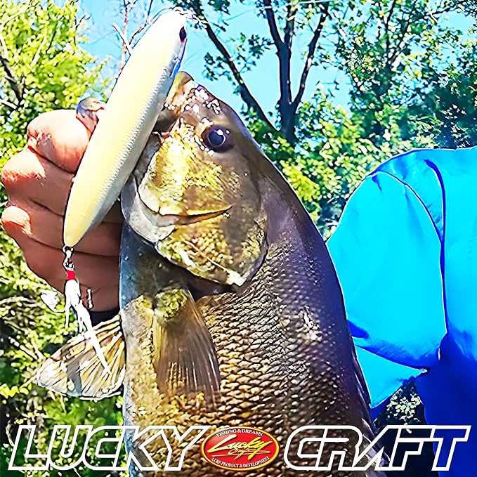 LUCKY CRAFT Super Sammy 126, Topwater Walking the Dog Action Tournament Winning Perfect Freshwater Lake Bass Fishing Champion Bait