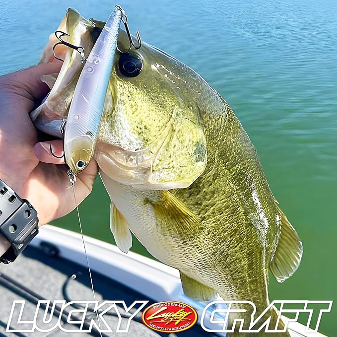 LUCKY CRAFT Sammy 105 Topwater Fishing Lures, 3 Hook, 4-1/8" Floating Freshwater Trout and Bass Lures, Walk-the-Dog Tournament Bait, Bass Fishing Gear and Tackle Box Accessories