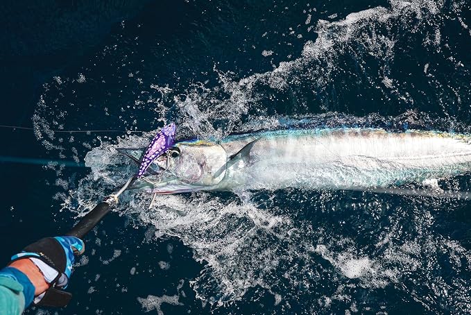 Nomad Design Chug Norris Topwater Popper Lure Collection – Floating Offshore Saltwater Surface Fishing Plug - Durable HD Body for Big Game - Realistic Splash & Erratic Action