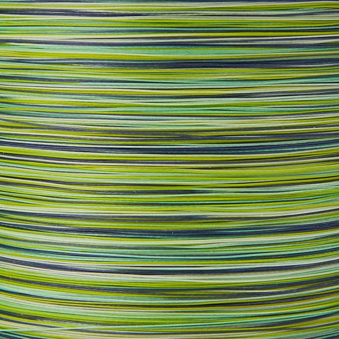 SpiderWire Ultracast Braid