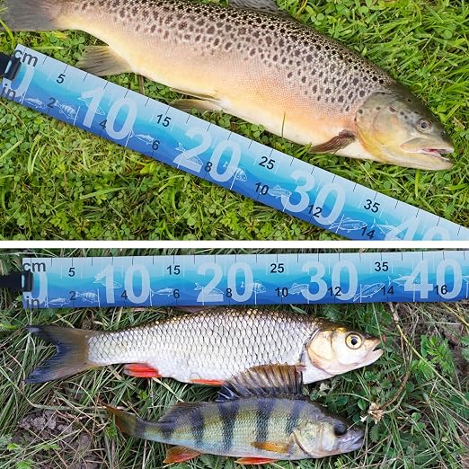 Fish Ruler Measuring Tape,2 Pack 36in/90cm Folding Fishing Ruler Roll Up Tape Measure Waterproof PVC Fish Measuring Tool for Boat Kayaks Coolers