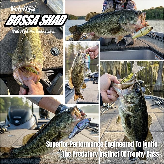 Bossa Shad Multi-Jointed Swimbait – Realistic Shad Profile with Natural Swimming Action for Bass Fishing
