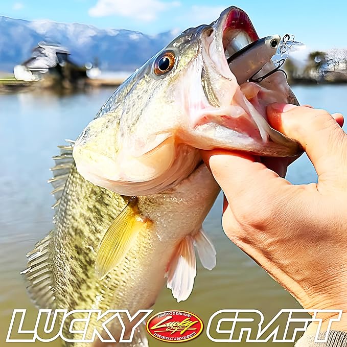 LUCKY CRAFT Pointer 78SP Fishing Lures, 3” Jerkbait Freshwater Bass & Trout Lures, Suspending 4ft–5ft Depth, Jerkbait with Walk-the-Dog Action, Precision Bass Fishing Gear and Accessories