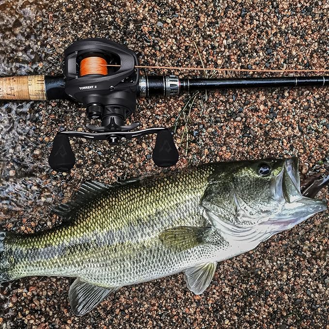 Piscifun Torrent II Baitcasting Fishing Reel, 20LB Carbon Fiber Drag Baitcasters, 6.6:1/8.1:1 Gear Ratio & Magnet Braking System Low Profile Casting Reel, Left/Right Handed