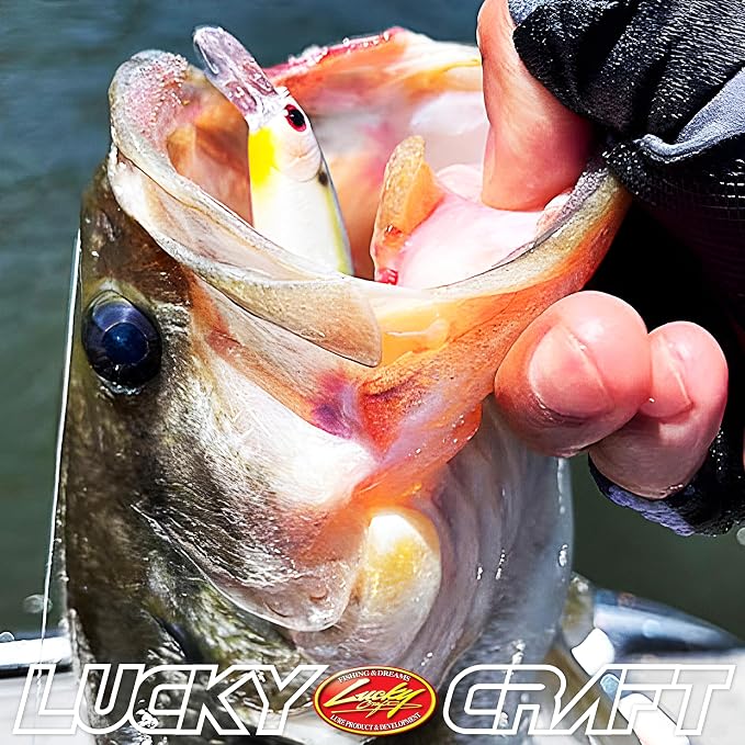 LUCKY CRAFT Pointer 78SP Fishing Lures, 3” Jerkbait Freshwater Bass & Trout Lures, Suspending 4ft–5ft Depth, Jerkbait with Walk-the-Dog Action, Precision Bass Fishing Gear and Accessories