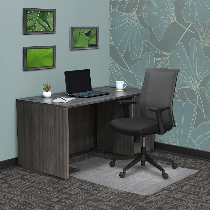 Romig Clear Carpet Office Chair Mat (36×48″) – Anti-Slip Gripper Surface with Lip, Durable 2.2 mm Desk Chair Floor Protector