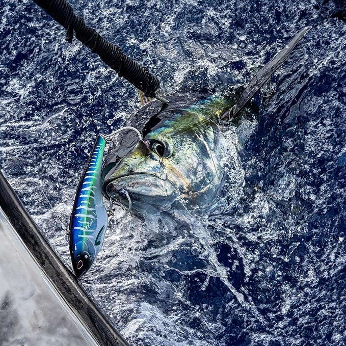 Nomad Design Chug Norris Topwater Popper Lure Collection – Floating Offshore Saltwater Surface Fishing Plug - Durable HD Body for Big Game - Realistic Splash & Erratic Action