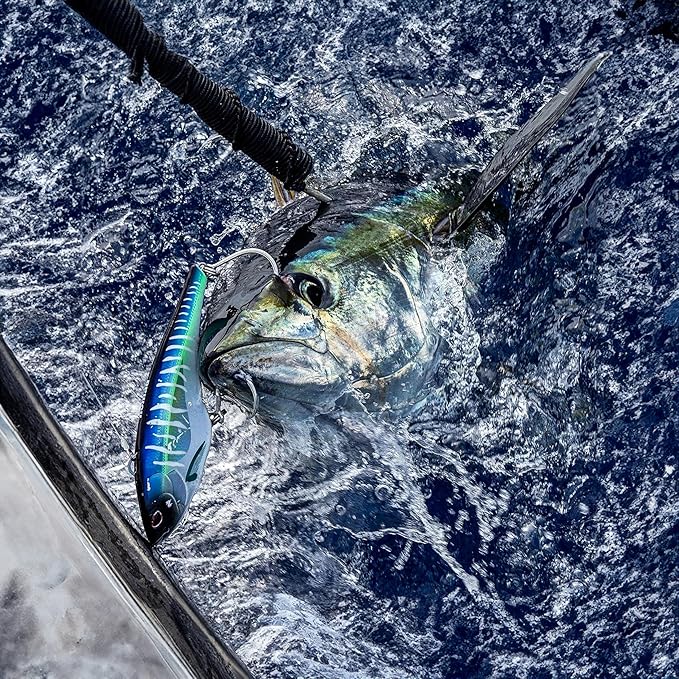 Nomad Design Chug Norris Topwater Popper Lure Collection – Floating Offshore Saltwater Surface Fishing Plug - Durable HD Body for Big Game - Realistic Splash & Erratic Action