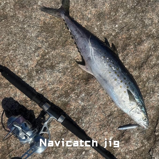 Saltwater Fishing Lures Fishing Jigs Fishing Spoons for Striped bass, Pompano, Spanish Mackerel ，Bluefish