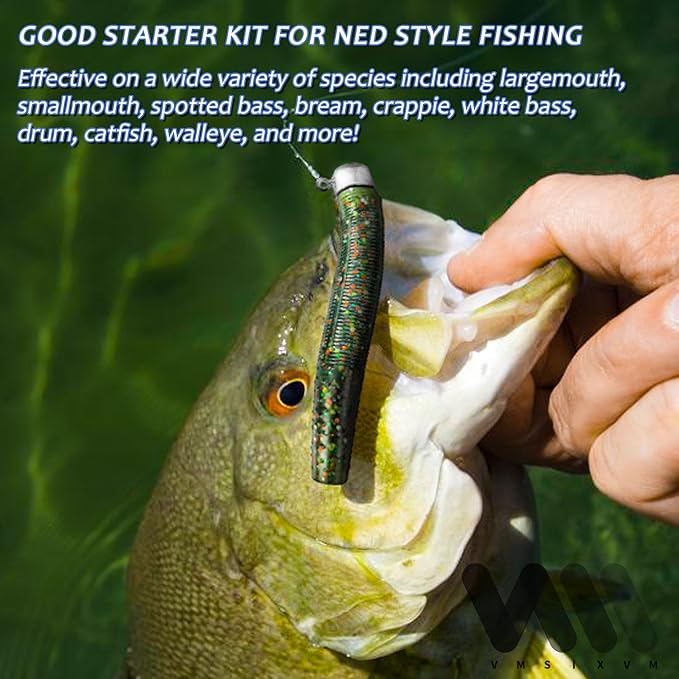 60/25 Pcs Ned Rig Jig Heads Soft Plastic Worms Stick Baits Kit, Mushroom Ned Rigs Jighead Hooks Worm Fishing Lures for Bass Freshwater Saltwater Fishing